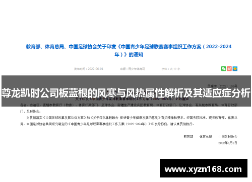 尊龙凯时公司板蓝根的风寒与风热属性解析及其适应症分析