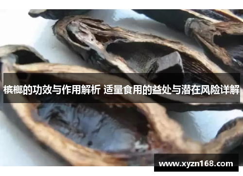 槟榔的功效与作用解析 适量食用的益处与潜在风险详解